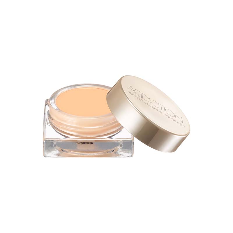 ADDICTION Perfect Covering Concealer